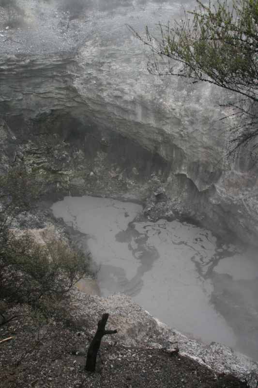 Nieuw-Zeeland 2011 - 0747